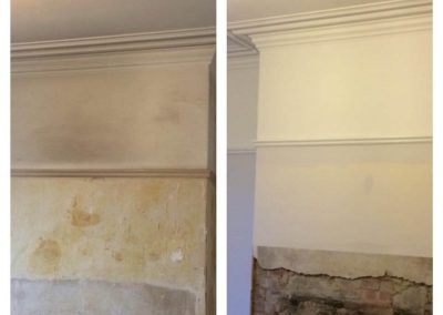 Painted Wall, Dado Rail & Coving - Harrogate